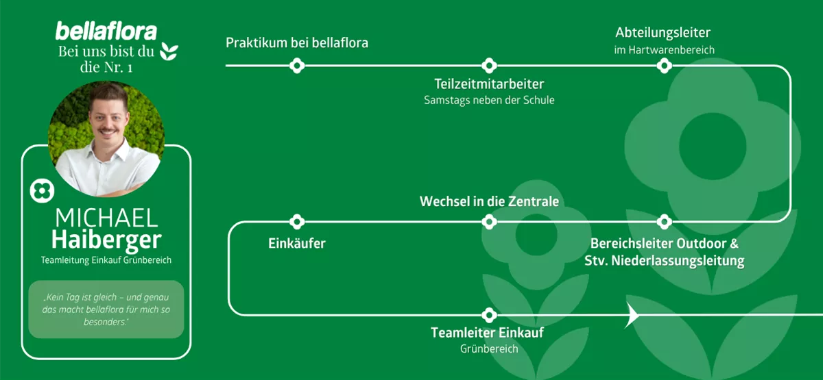 Michael Haibergers Karriereroadmap Michael Haibergers Karriereroadmap