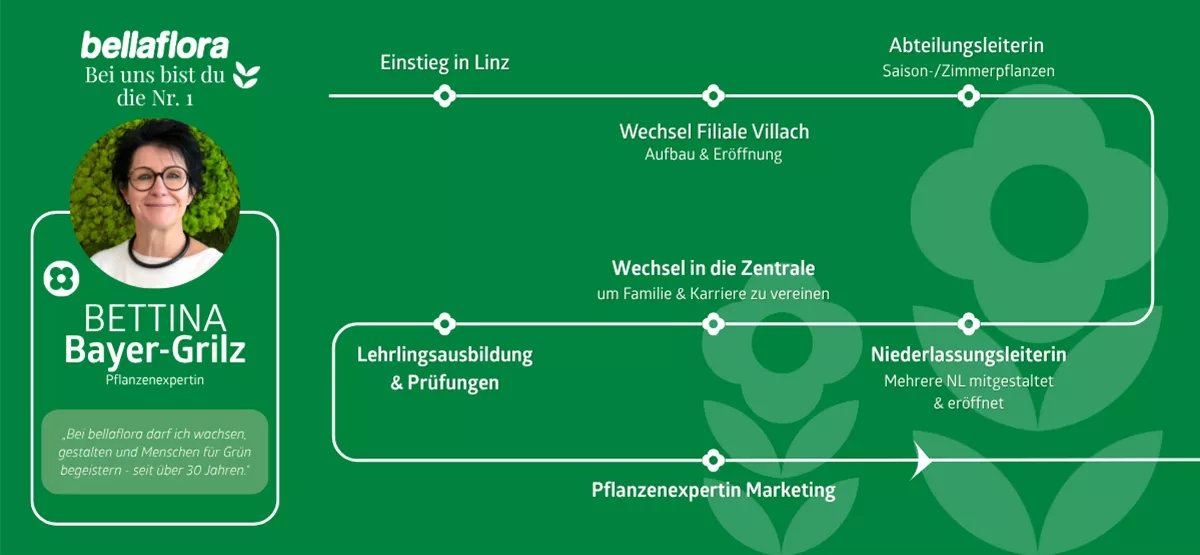 Bettina Bayer-Grilz Karriereroadmap Bettina Bayer-Grilz Karriereroadmap