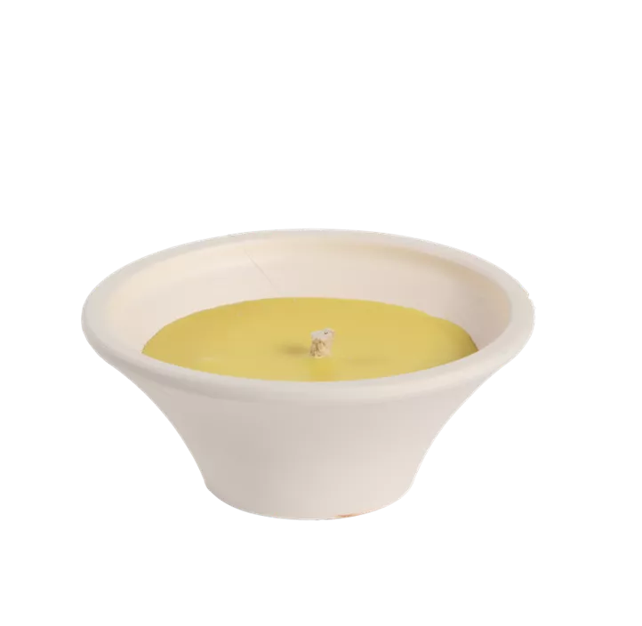 Terracotta Schale Citronella