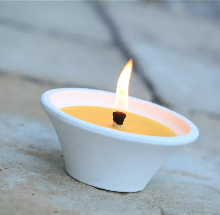 Terracotta Schale Citronella