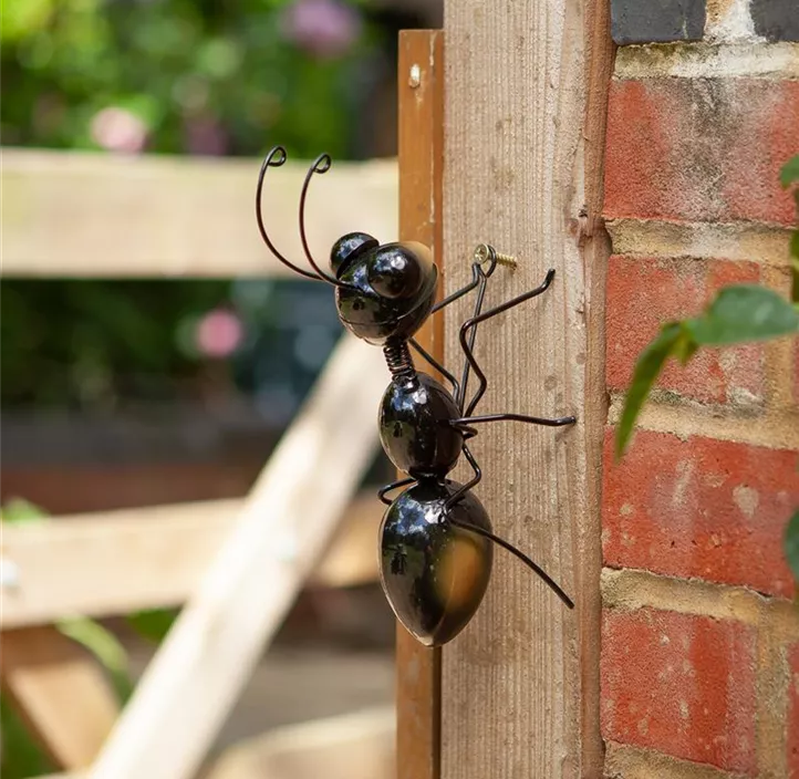 Wandhänger Ameise