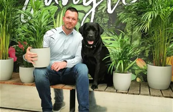 Sebastian_Weber_Goldfruchtpalme.jpg Sebastian_Weber_Goldfruchtpalme.jpg