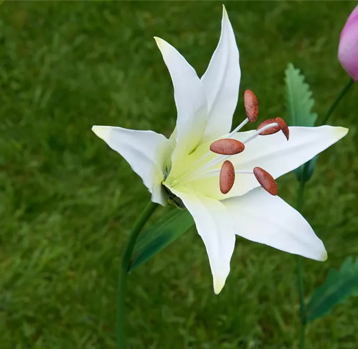 Gartenstab Flower Power