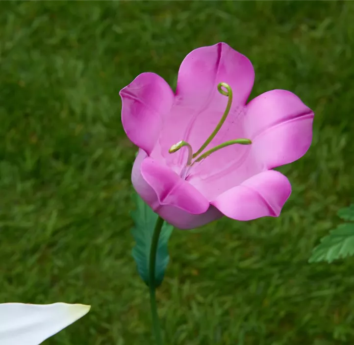 Gartenstab Flower Power