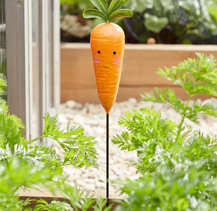 Gartenstecker Gemüse