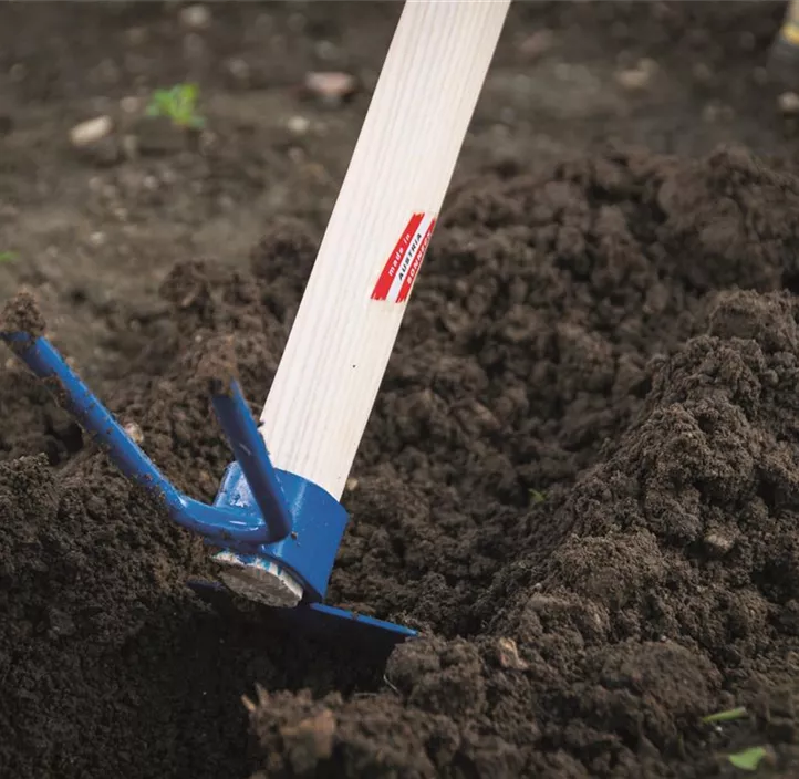 Schneckenhäundl mit Stiel