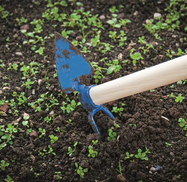 Schneckenhäundl mit Stiel