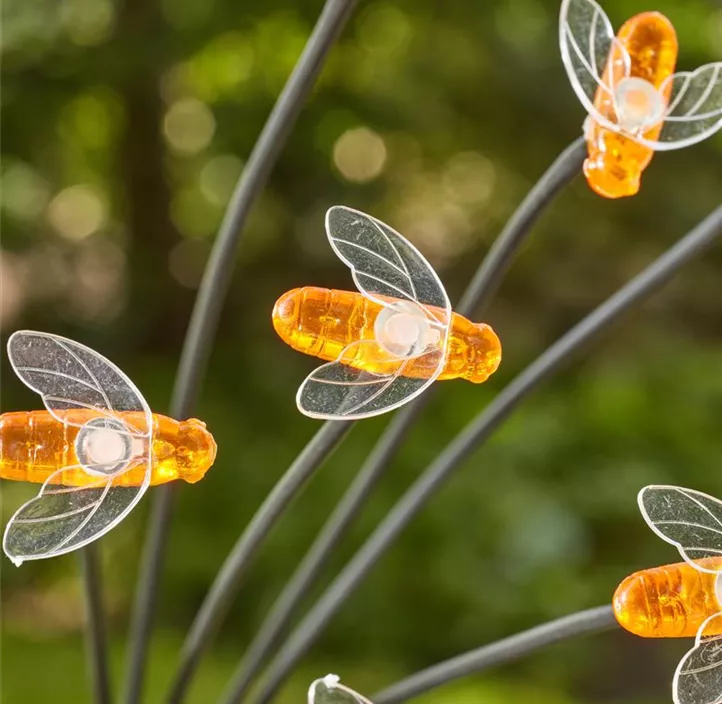 Solar BeeLights, 8 Bienen