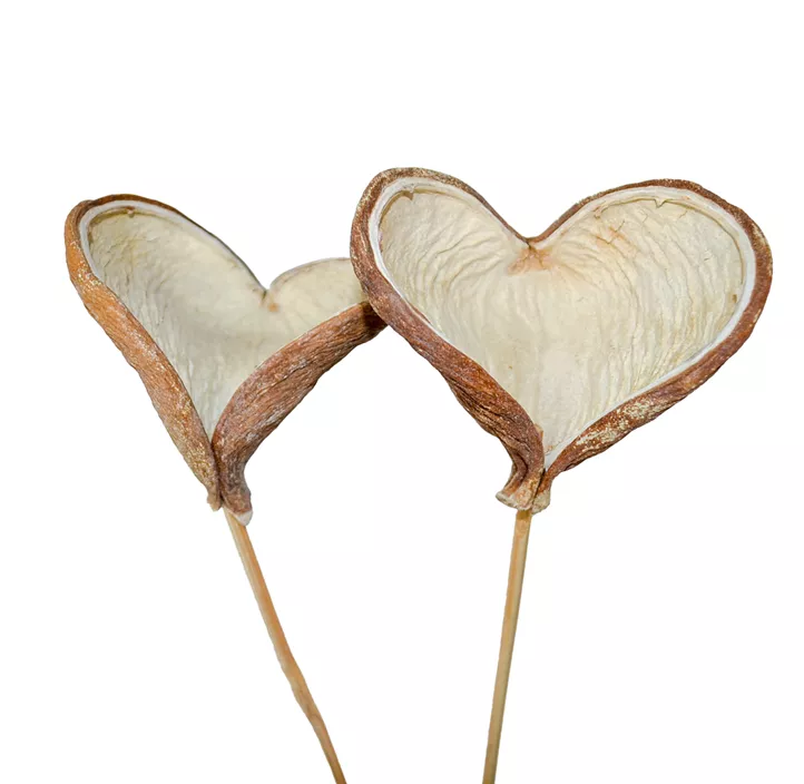 Badam am Stiel 3er Pkg