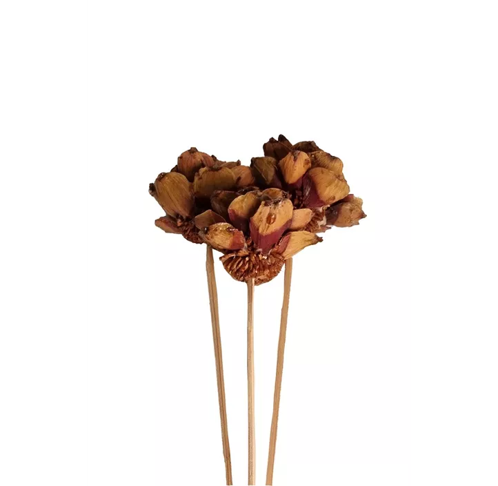 Pinienblume mit Stiel 3er Pkg