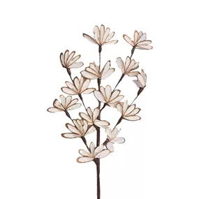 Shola Deco Fan 3er Pkg.
