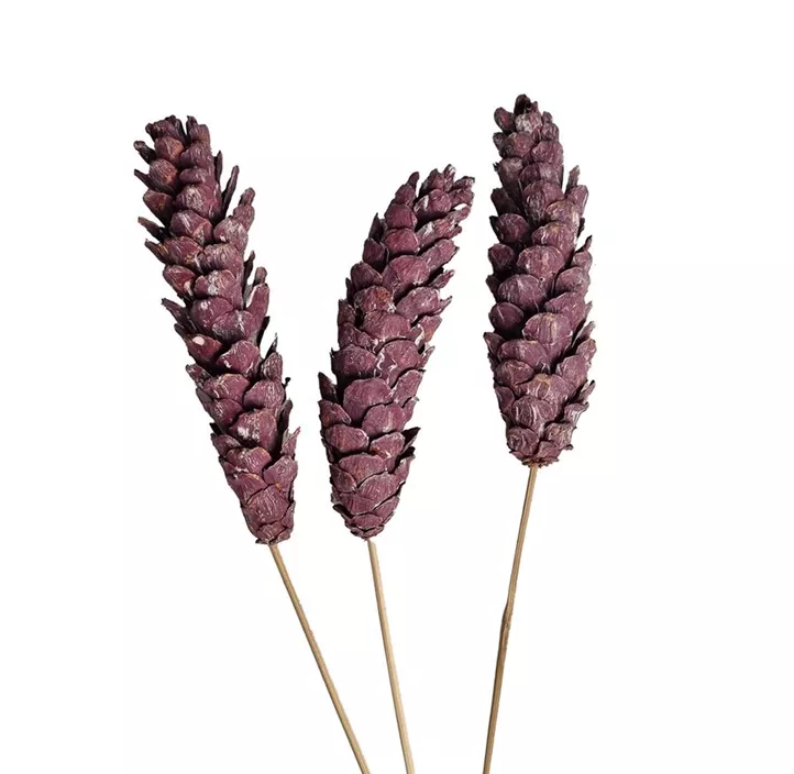 Zapfen Strobus mit Stiel 3er Pkg