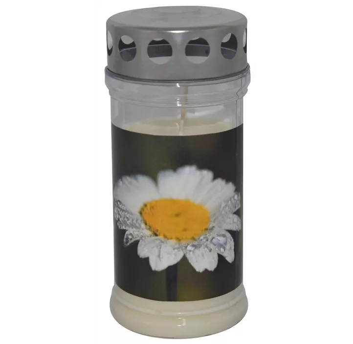 Hofer Premium 4 Tage Motivlicht transparent