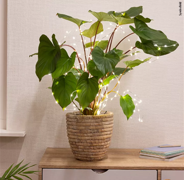 Micro-LED Beleuchtung für Pflanzen