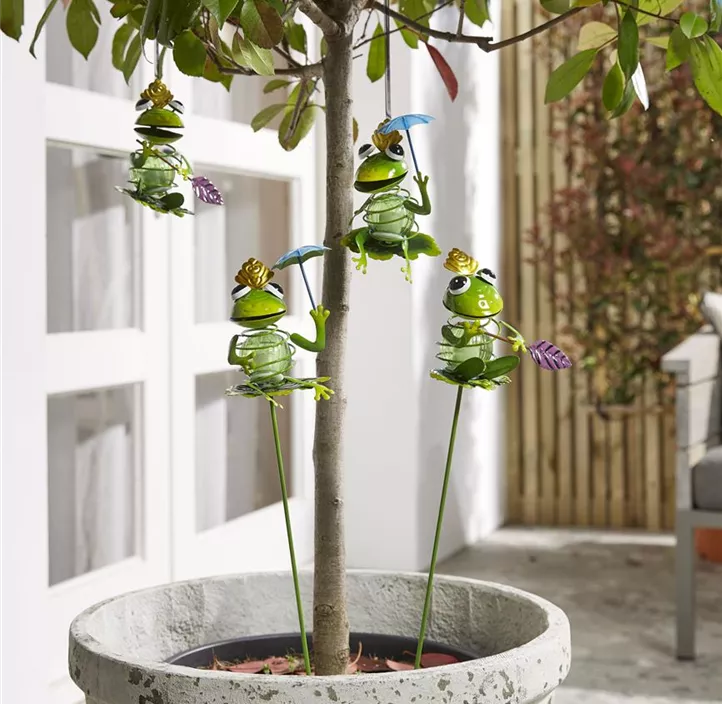 Solar Steckleuchte Frosch