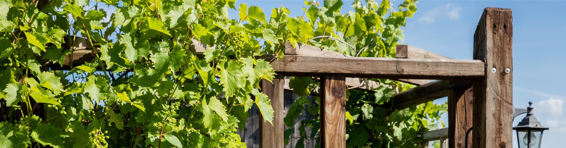 Gartenambiente