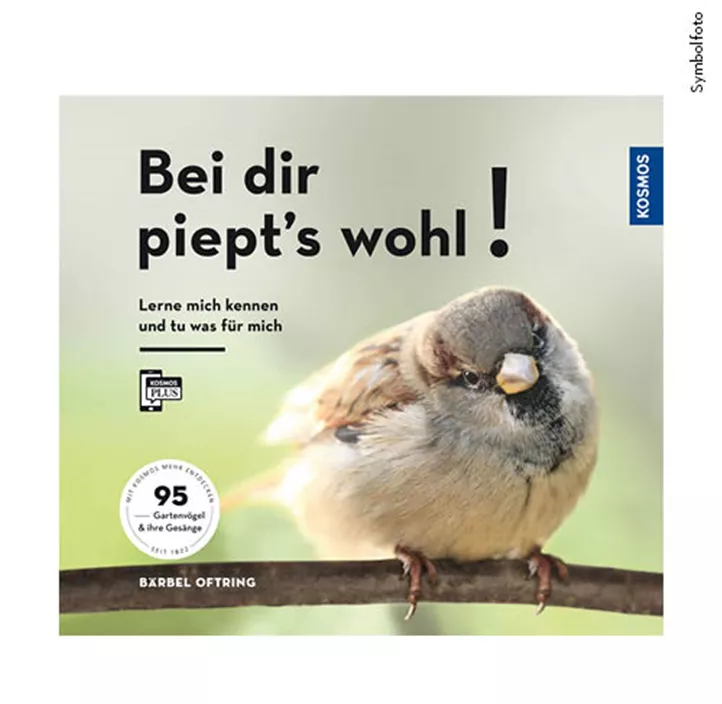 Bei dir piept's wohl