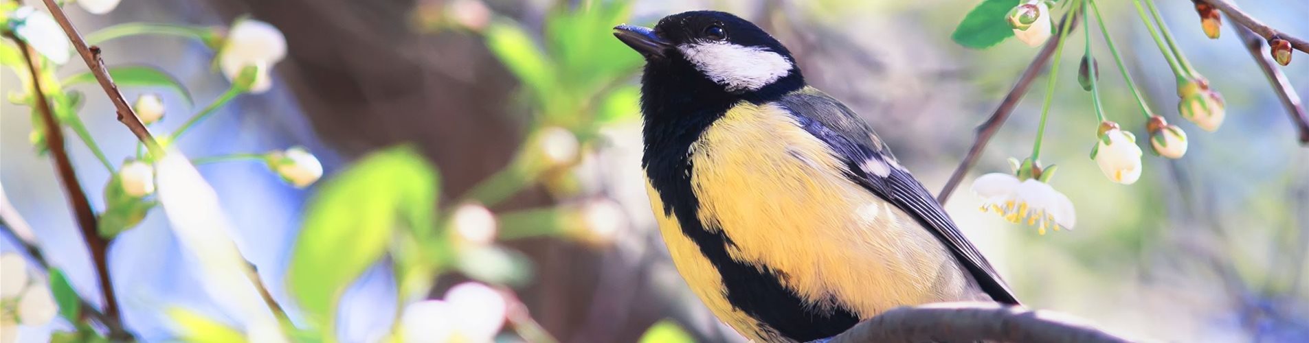 iStock-962920336_header-0-0-3000-2156 iStock-962920336_header-0-0-3000-2156