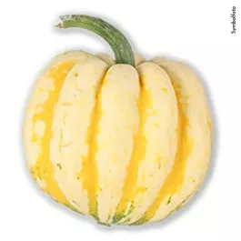 Speisekürbis Karneval