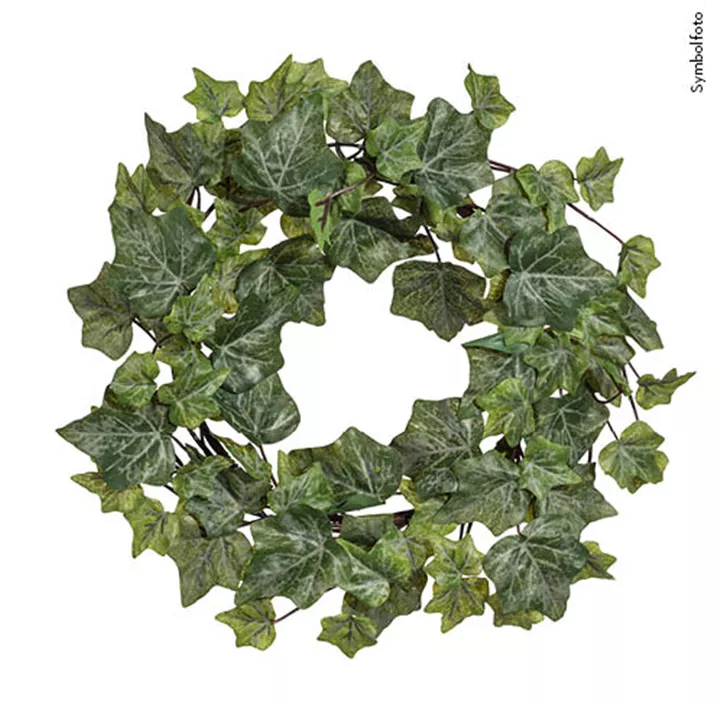 Englischer Efeukranz