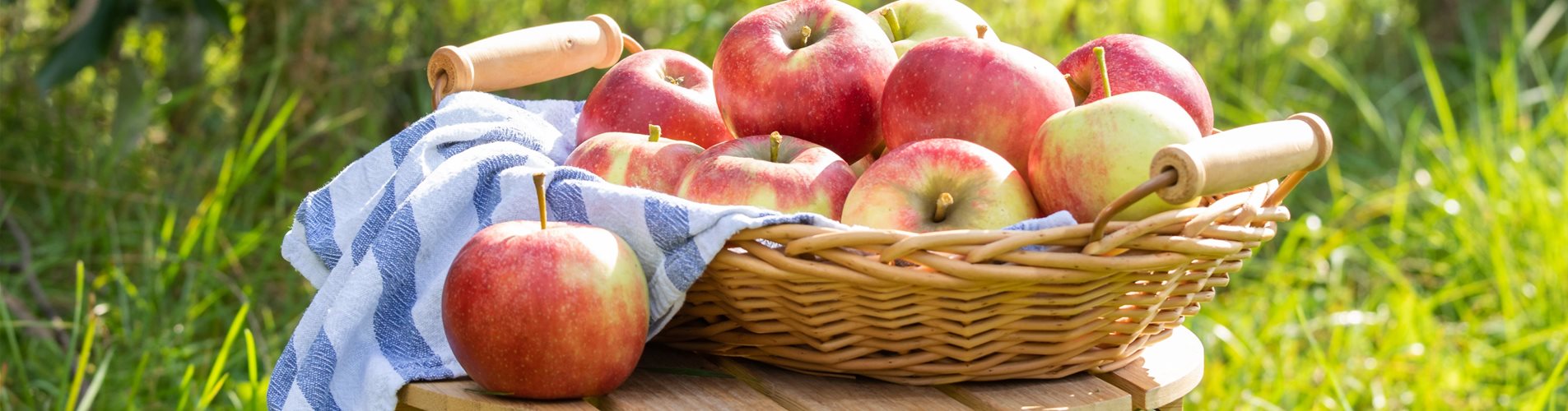 Äpfel im Korb Äpfel im Korb
