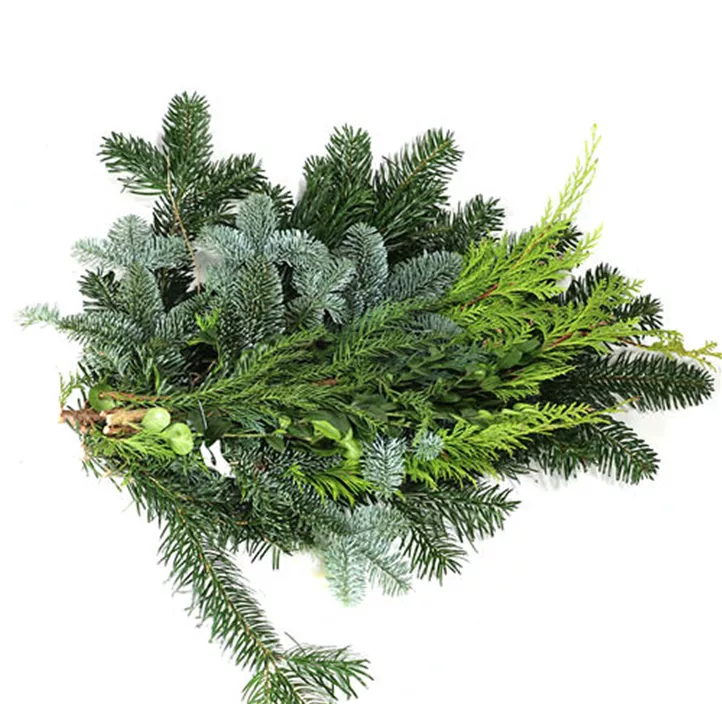 Koniferen Mix de lux