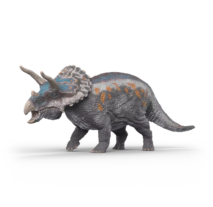 Triceratops