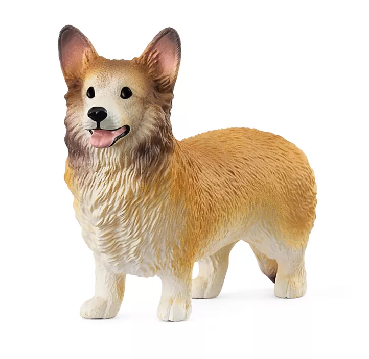 Welsh Corgi