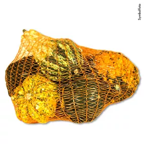 Zier-Kuerbis Mischung 6Stk/Netz