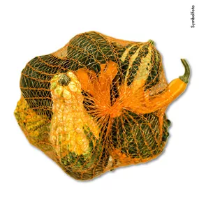 Zier-Kuerbis Mischung 9Stk/Netz