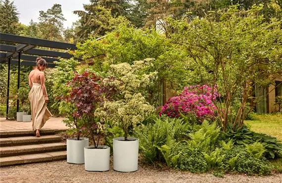 Premium eden aquacare total collection outdoor.i2.jpg.jpg