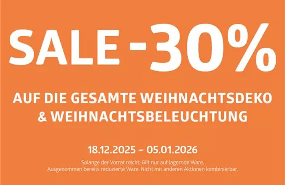 WeihnachtsSale_1150x768px.jpg