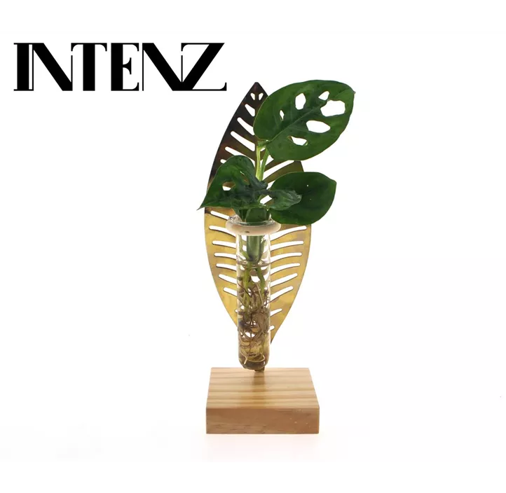 Arrangement Grünpflanze Goldenes Blatt