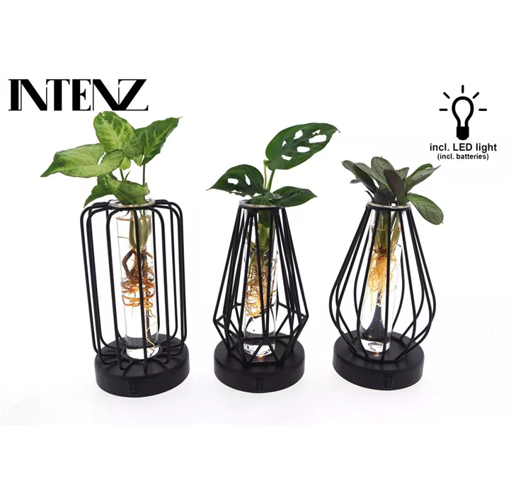 Arrangement Grünpflanze LED Lampe