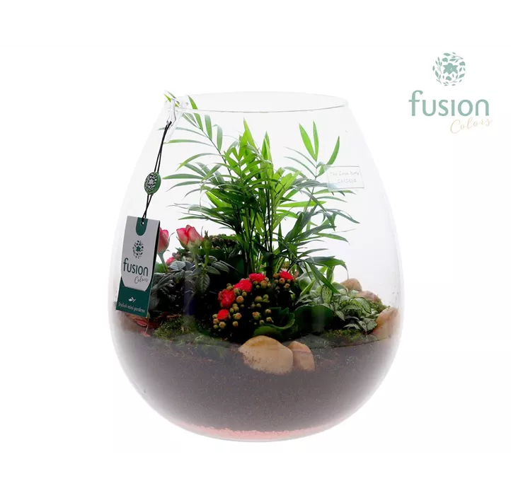 Indoor-Terrarium mit Grünpflanzen Abby XL