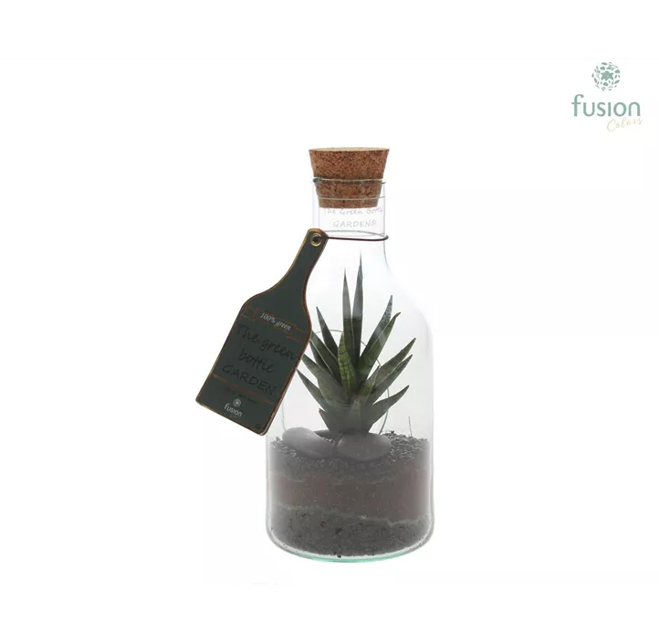 Sansevieria im Glas XS Green Bottle®