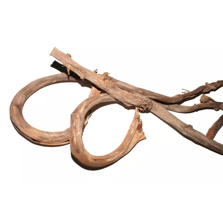 Bananenrindenstreifen