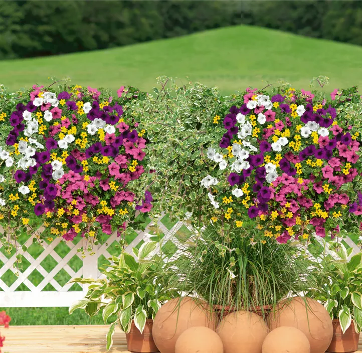 Bunter Balkon Flowerpower