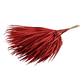 Palmblatt Chamerops 10Stk Bd.