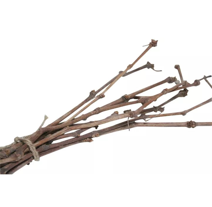 Rebenzweige 10er Bund