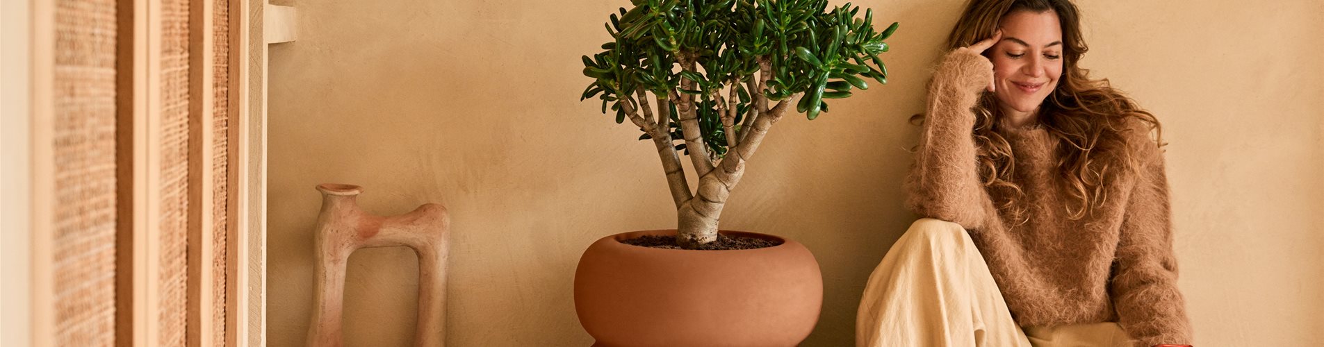 Premium amber roll low caramel.i1 Premium amber roll low caramel.i1