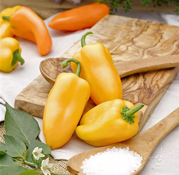 Snackpaprika 'Cuccino'