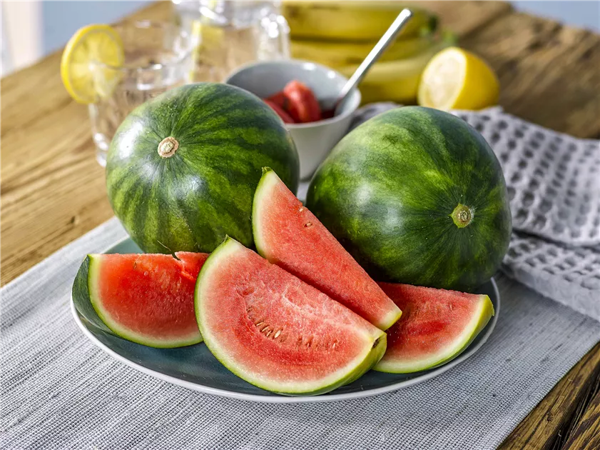 Citrullus lanatus 'Mini Love' Hochbeet, Wassermelone 'Mini Love' -  Bellaflora