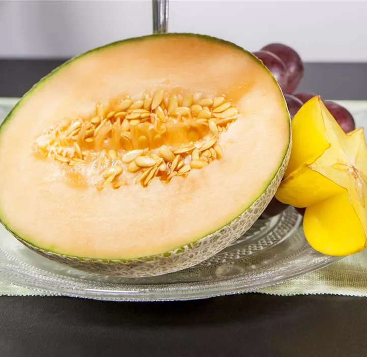 Zuckermelone 'Marlene'