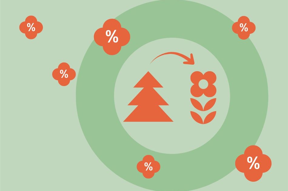 Weihnachtsbaum raus, Zimmerpflanze rein!