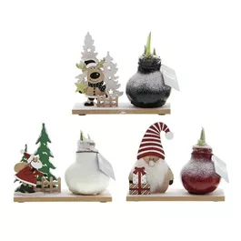 Hippeastrum Waxz® Winter Wonderland Mix