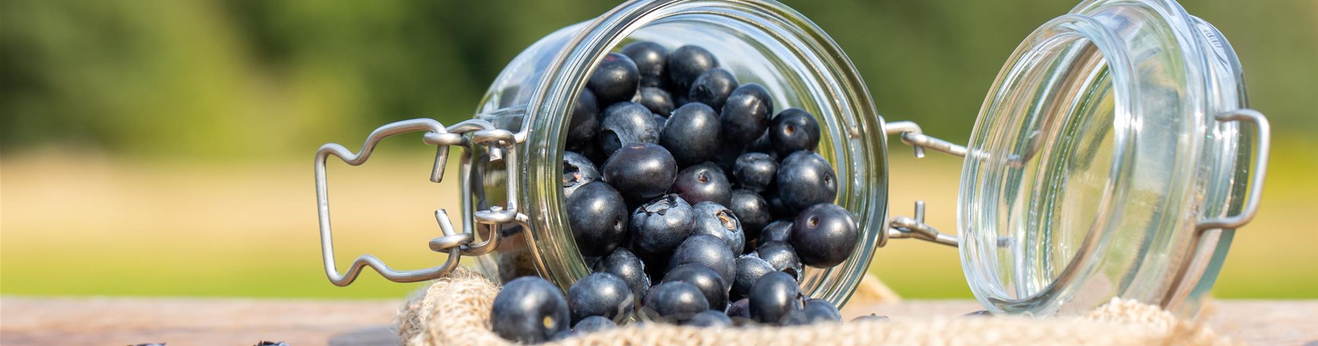 GS650322_Heidelbeeren im Glas_ (1)