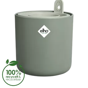 Anzuchttopf für Avocados