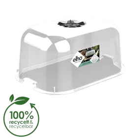 Green Basic Anzuchthaube