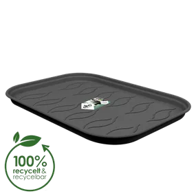 Green basics Anzucht Untersetzer